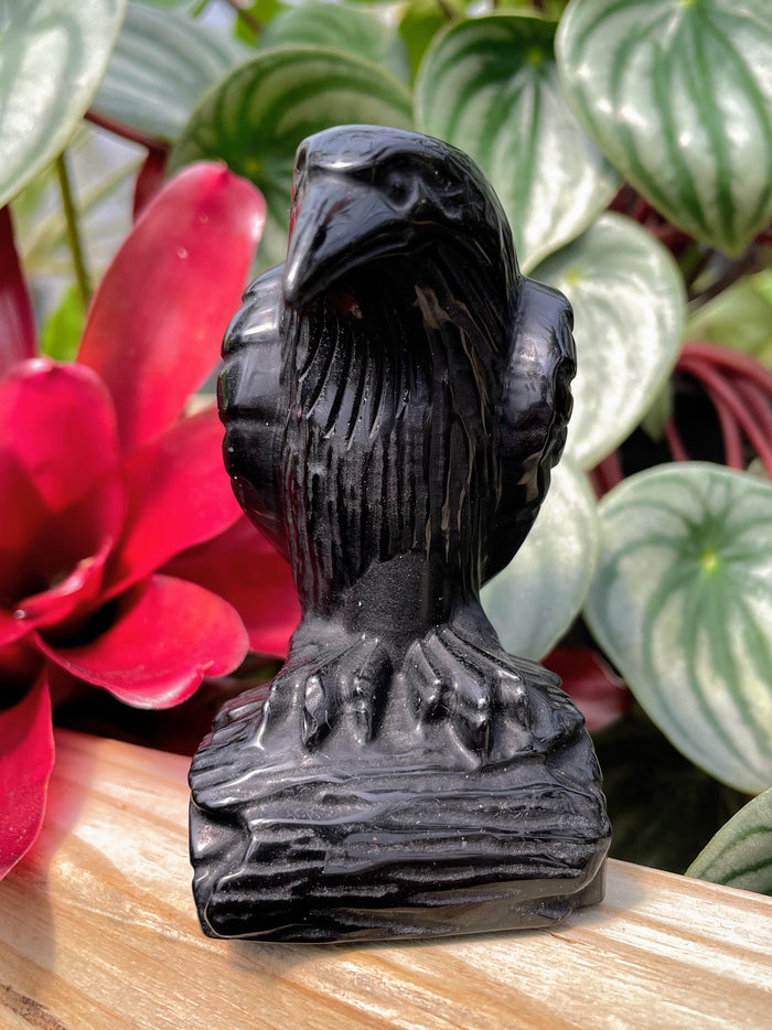 Black Obsidian Raven Crystal Carving