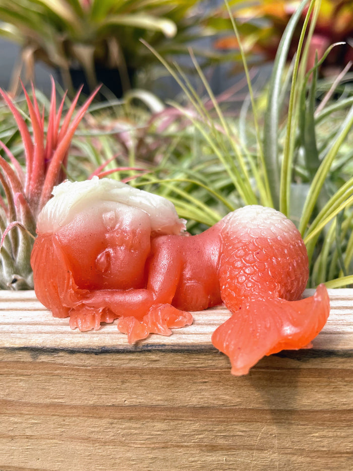 Sleeping Mermaid Luminous Carving