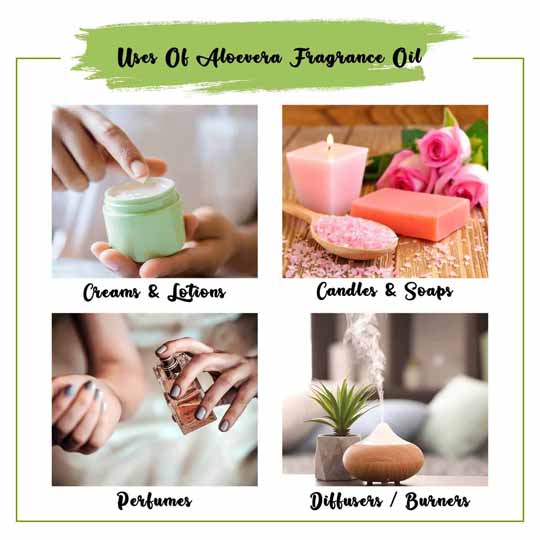 Aloevera Fragrance Oil Uses