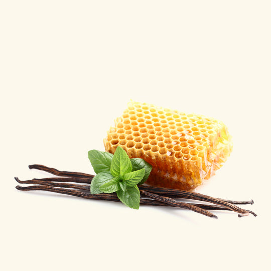 Honey Vanilla Fragrance Oil