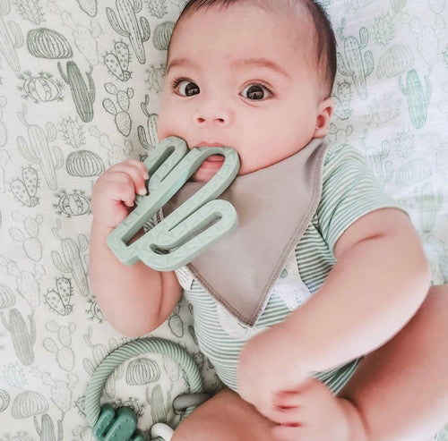 Itzy Ritzy Chew Crew Silicone Teethers
