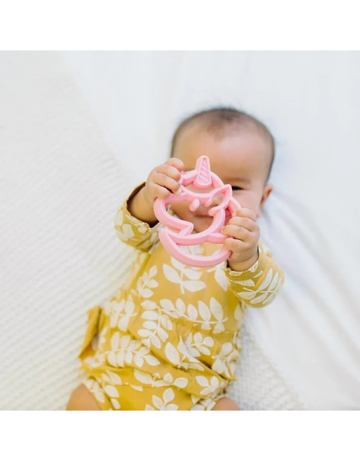 Itzy Ritzy Chew Crew Silicone Teethers