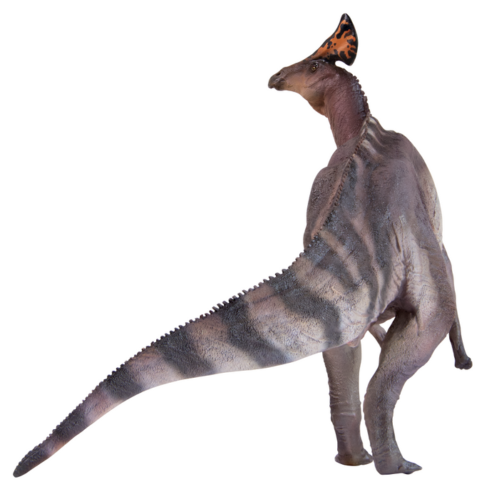 Ivan the Olorotitan, PNSO