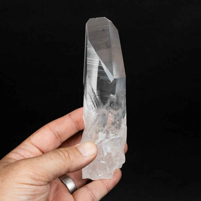 Lemurian Seed Quartz Crystal 313 g 143x39mm - InnerVision Crystals