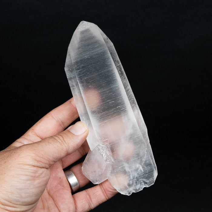 Lemurian Seed Quartz Crystal *DT 428 g 160x70mm - InnerVision Crystals