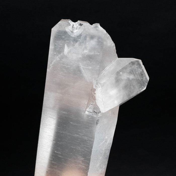 Lemurian Seed Quartz Crystal *DT 428 g 160x70mm - InnerVision Crystals