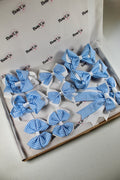 Light Blue Gingham School Bow Bundle M/L - Clip - 10 Bows
