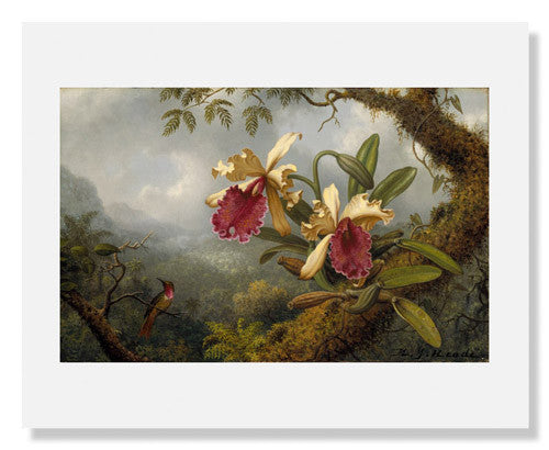 MFA Prints archival replica print of Martin Johnson Heade, Orchids and Hummingbird from the Museum of Fine Arts, Boston collection.