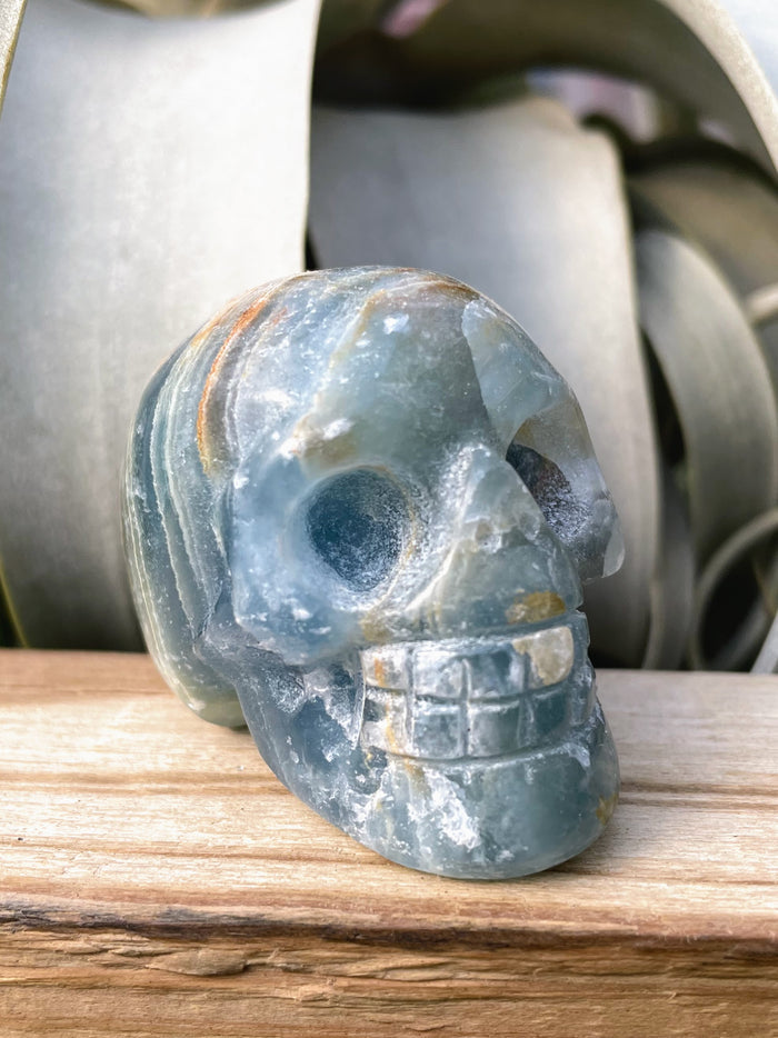 Medium Blue Onyx Skull Carving