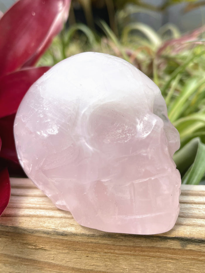 Medium Rose Quartz Skull Carving