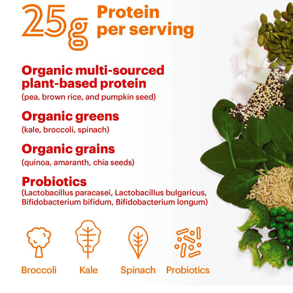 Natreve Vegan Protein Powder 18 Servings