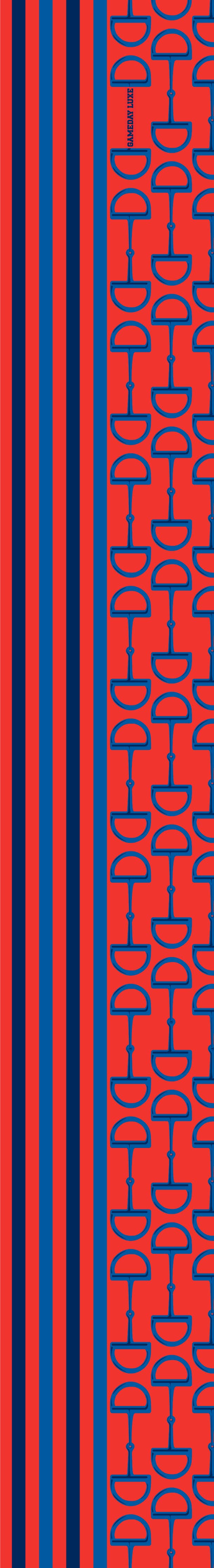 Red & Blue Gameday Signature Scarf