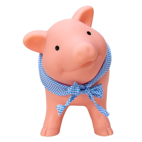 Rubber Piggy Bank Front