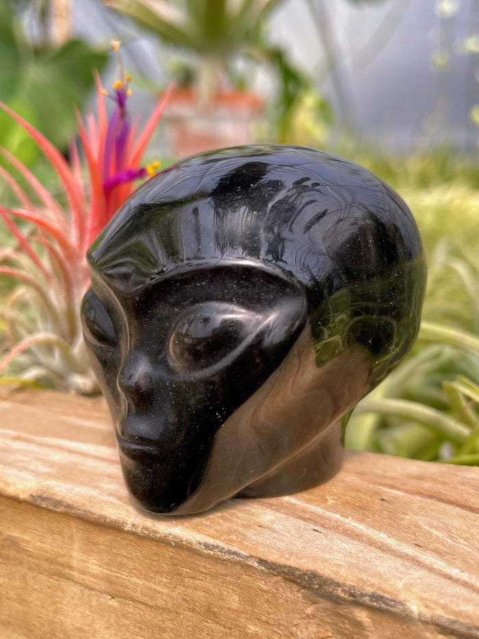 Silver Sheen Obsidian Alien Skull Carving