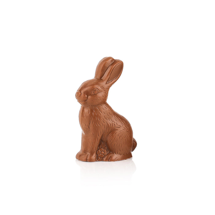 Solid Sitting Bunny