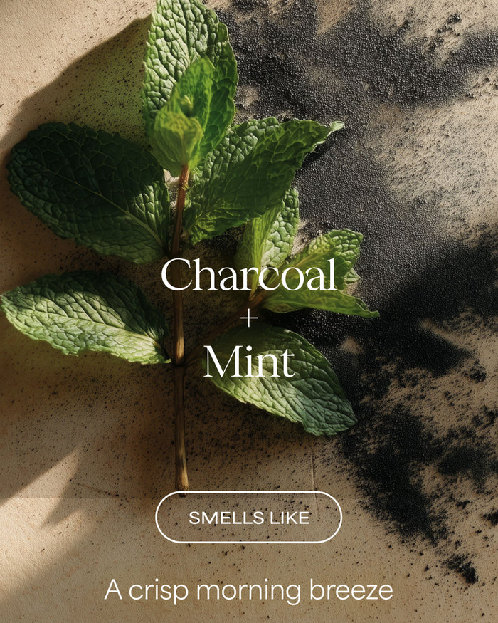 Mint leaves with charcoal powder and text 'Charcoal + Mint' on a textured surface.
