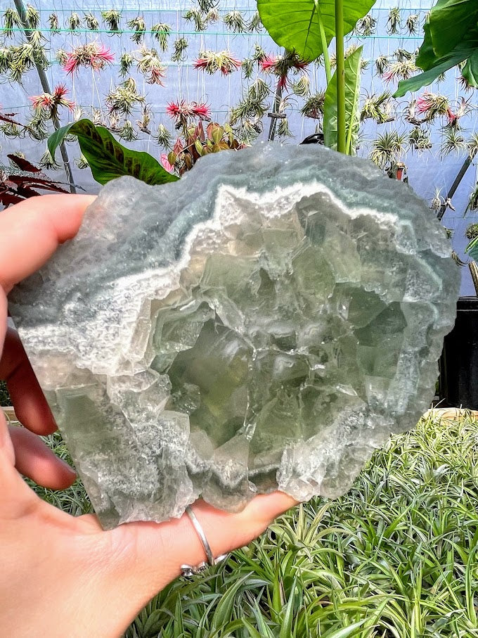 WYSIWYG- Green Fluorite Slab